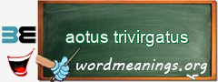 WordMeaning blackboard for aotus trivirgatus